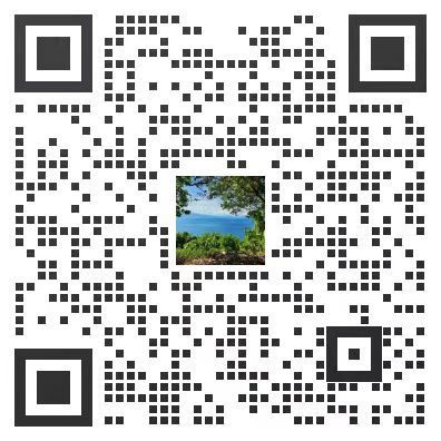 龙艺秀广告合作 龙艺秀